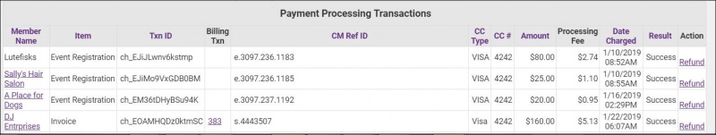 Payment Processing Report1.JPG
