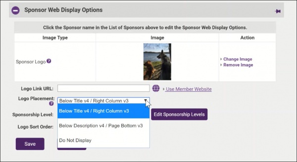 Sponsor display options.jpg